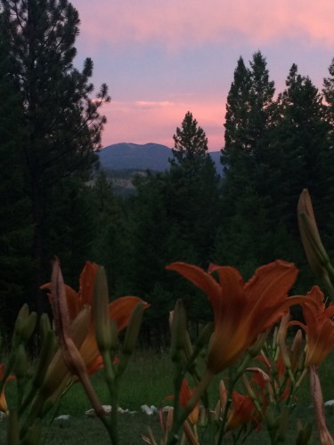 flower_sunset