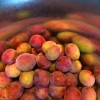 plum_bucket