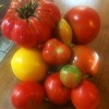 salsa_tomatoes