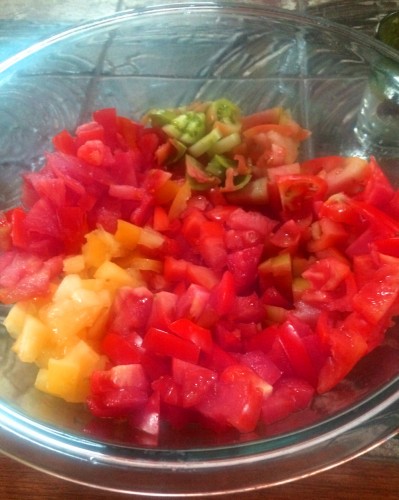 salsa_tomatoes_chopped