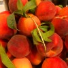 montana_peaches