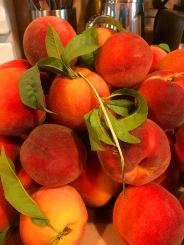 montana_peaches