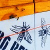 Bee Nucs in January