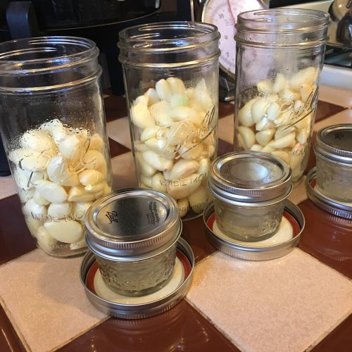 garlic_cloves_in_jars2