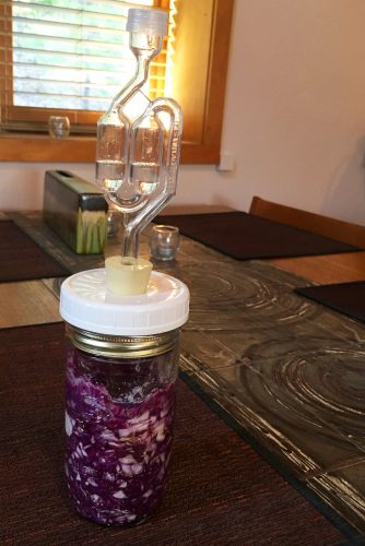 sauerkraut_fermenting