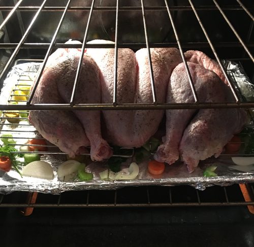 turkey_in_oven